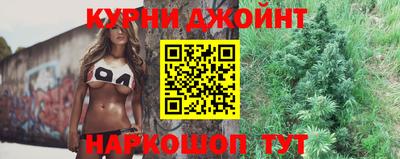шишки Аргун