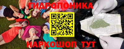 apvp Лесосибирск