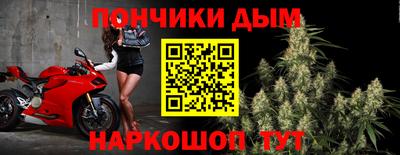шишки Аргун