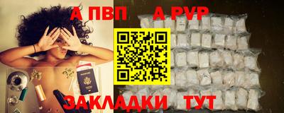 шишки Аргун