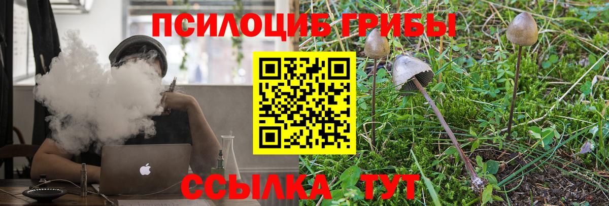 Галлюциногенные грибы Cubensis Соликамск
