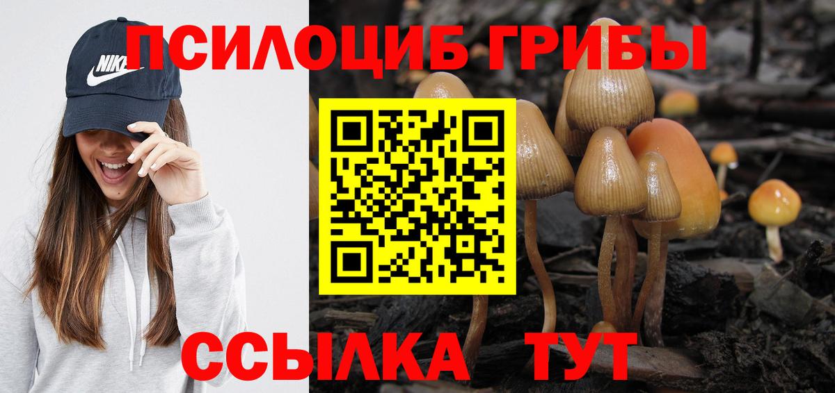 Галлюциногенные грибы Magic Shrooms Соликамск