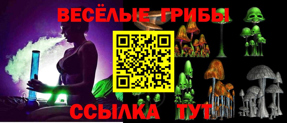 сколько стоит  Вход с VPN  Соликамск  Галлюциногенные грибы Cubensis 
